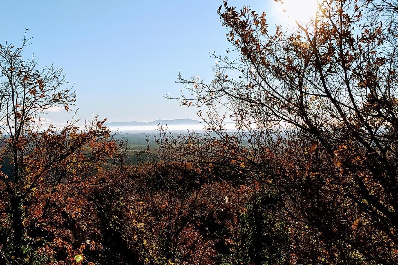 Agriturismo Tenuta Monte La Guardia Castel Giuliano Экстерьер фото